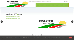 Desktop Screenshot of cesarettiagricoltura.com